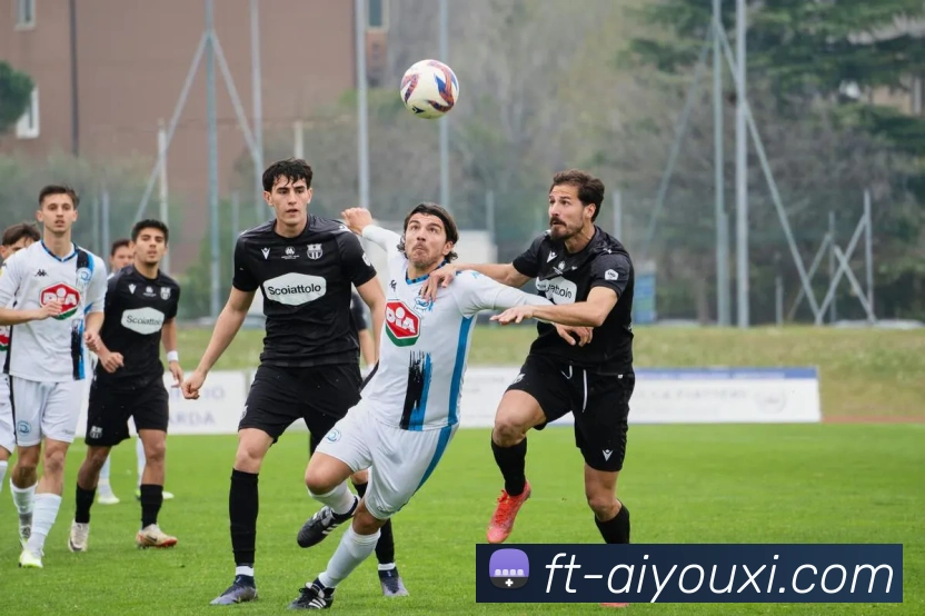 爱游戏平台生态图